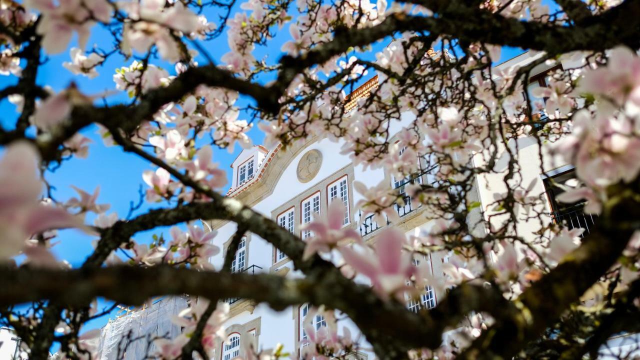 Apa M - Loft Guesthouse Jardim Das Maes Charming Viseu Zewnętrze zdjęcie